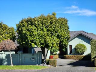 Gold on Gillies 2 Bedroom house close to Lake - Taupo - 7