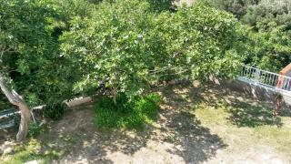 Comfortable apartment in Makarska, 80 m², sea view and terrace - Makarska - 4