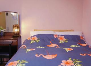GU Freedom Home 501 - Osaca - 5