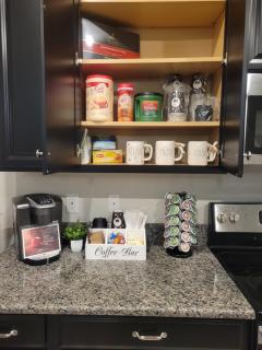Tampa Private Home, Game Room, Theater Room & more! Close to attractions and beaches! - Riverview - 6