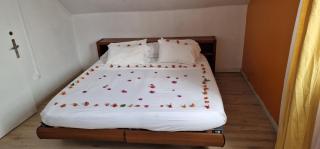 VILLA GRAND BASSIN - Le Tampon - 2