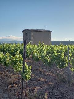 Domaine Saint Augustin - 5