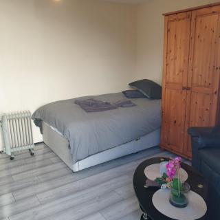 Small Granny Apartment - Dublin - 1