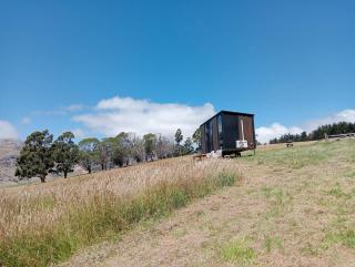 Bayview Paradise by Tiny Away - Diamond Harbour - 7