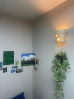 Lyndon Guesthouse - Jeju - 7