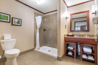 Comfort Suites Manhattan - 5