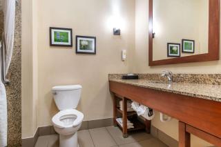 Comfort Suites Manhattan - 4