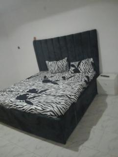 Fab shortlet apartment - Lekki - 4