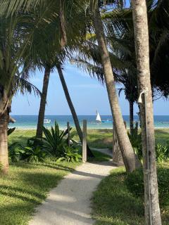 Ocean Bliss BeachFront Villa by YourHost,5 Bedroom, Diani - Galu - 4