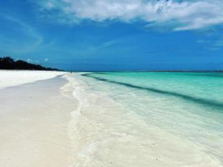 Ocean Bliss BeachFront Villa by YourHost,5 Bedroom, Diani - Galu - 1