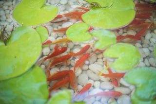 苏州叙姑苏民宿-拙政园北寺塔地铁站店 - 1