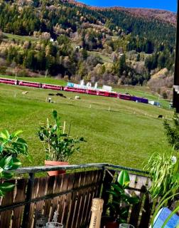 window on the green - Poschiavo - 9