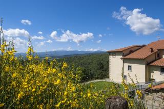 Borgo Tramonte - Pratovecchio - 4