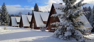Domki Bieszczady Siedlisko Harenda - Czarna - 8