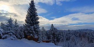 Domki Bieszczady Siedlisko Harenda - Czarna - 7