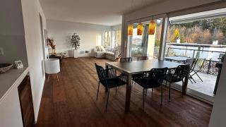 Modernes 3,5 Zimmer Apartment 100 m2 mit Alpenblick und 3 Terrassen - Hinwil - 9