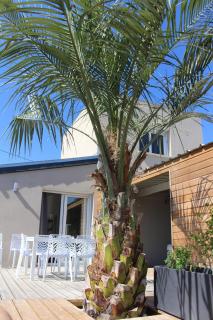 So Chic Kerfily house with hot tub 8 people - Loc-Maria-Plouzané - 2