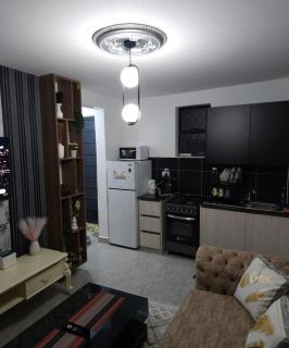 Dolphin Homestays - 1