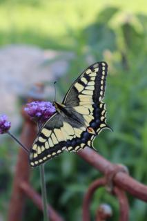 Unterkunft mit Herz - 1