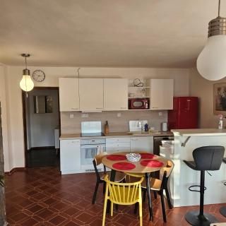 Apartment Salamander - Kadaň - 9