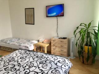 Apartmán B Luhačovice - Luhačovice - 5