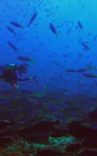 Homestay larangga - Bima - 2