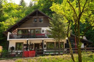 Casa cu Amintiri - Authentic Cozy Cottage - Bran - 9