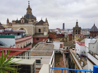 Herbolarios Nice Terrace - Sevilla - 3