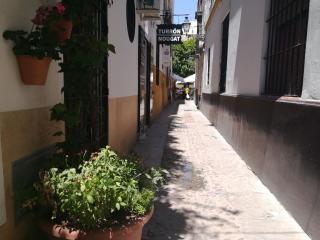 Luz Y Tranquilidad Barrio De Sta Cruz - 9