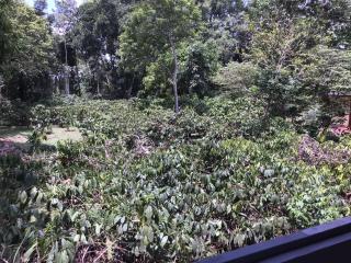 Snow Drop Villa - Gonikoppal - 9