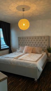 Penthouse 5 Room Duplex 3 Terraces, Near Center and Rhine - Bazel - 5
