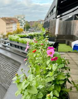Penthouse 5 Room Duplex 3 Terraces, Near Center and Rhine - Bazel - 2