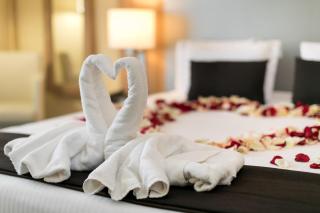 7Hotel&Spa - Illkirch-Graffenstaden - 1