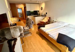 Sonniges Bergblick-Appartement - Damuls - 3