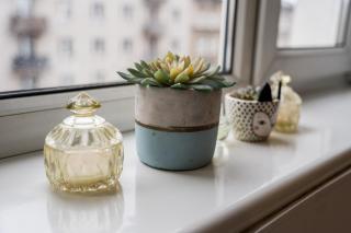 Park Wilsona Comfy Apartment - Poznań - 4