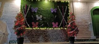 The Palm Bliss Resort - Kandogal - 5