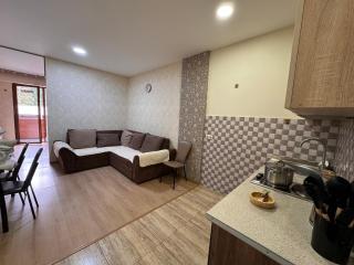 Bakuriani the valley apartment 120 - 3