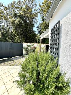 Maison au calme à l'orée d'un bois, proche plages - Rivedoux-Plage - 9
