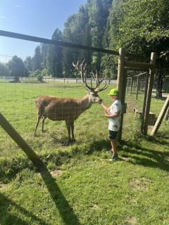 Ferienhaus Wildblick - 8