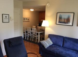 Alpine House Apartment in Levi - Sirkka - 4