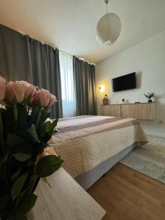 Central Apartment - Bucarest - 7