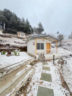 The Deodar Stays - Kanatal - 6