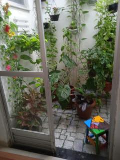 Casa para cop 30 - 7