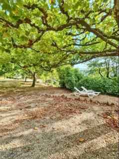 Maison paisible à Bauduen avec terrasse et vue sur jardin - Bauduen - 8