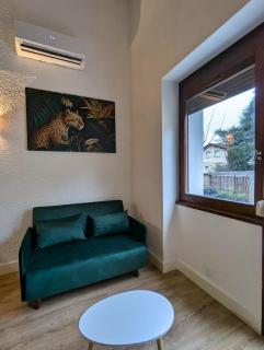 Studio Duplex le Jungle - Bourgoin Centre - 6
