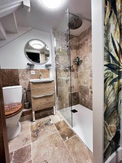 Studio Duplex le Jungle - Bourgoin Centre - Bourgoin - 3