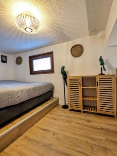 Studio Duplex le Jungle - Bourgoin Centre - 1