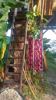 little treehouse - Port Antonio - 8