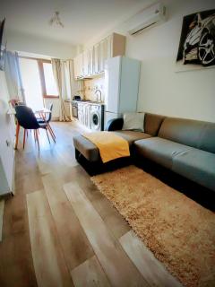 Ultracentral Palas Residence - Iaşi - 4