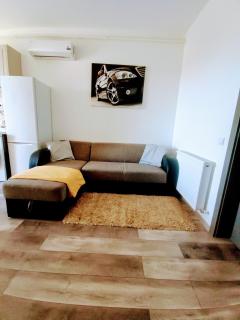 Ultracentral Palas Residence - Iaşi - 5